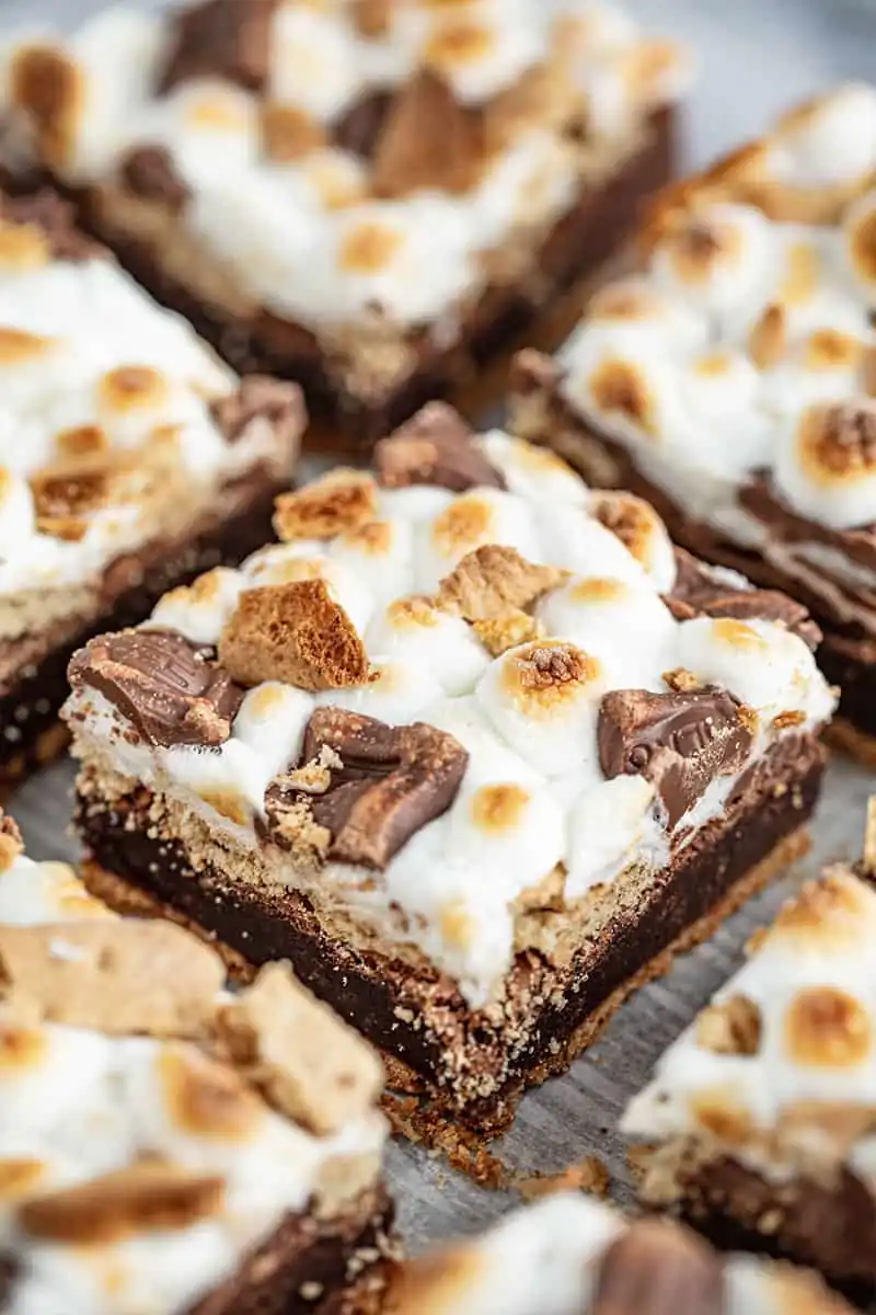 Decadent S’mores Brownies — The Ultimate Campfire Dessert Treat
